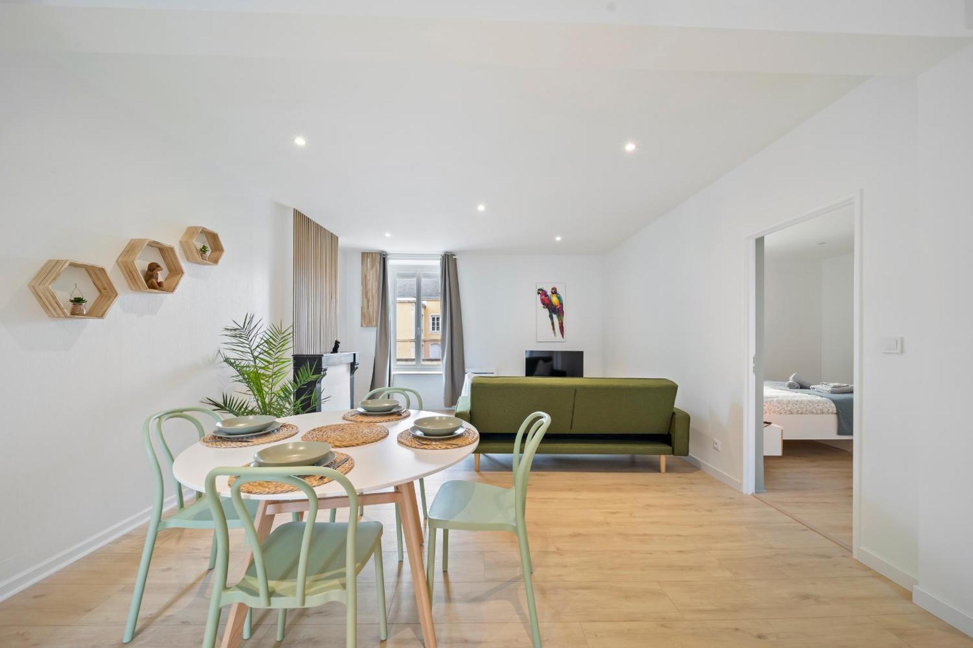 Lion King Appart 65 M2 Tout Inclus Chalon-sur-Saone Bagian luar foto
